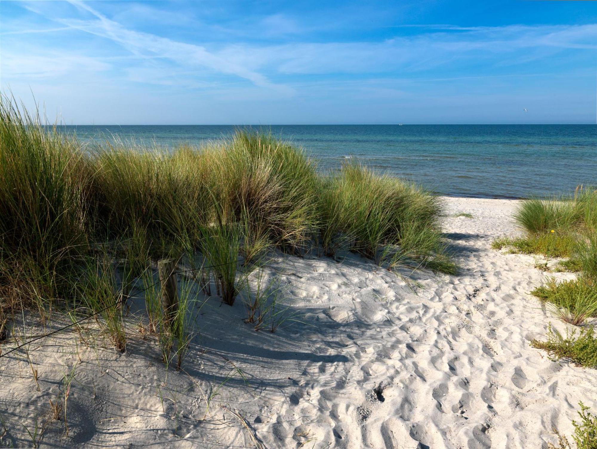 Einhusen Gute Stube Apartamento Insel Poel Exterior foto