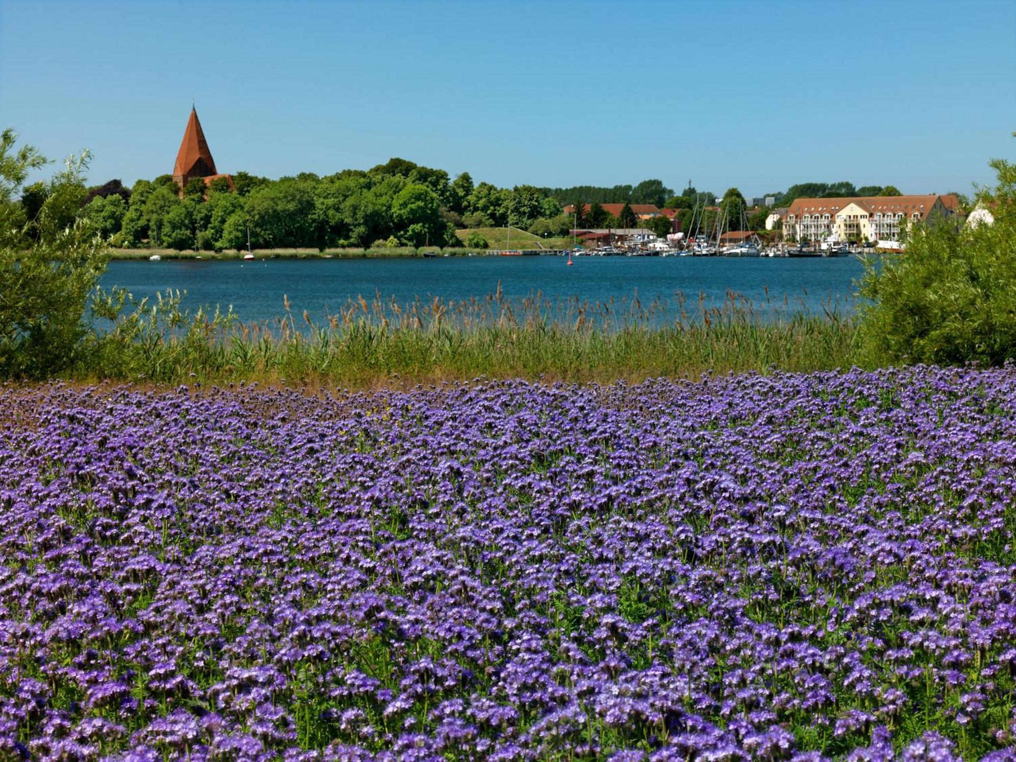 Einhusen Gute Stube Apartamento Insel Poel Exterior foto