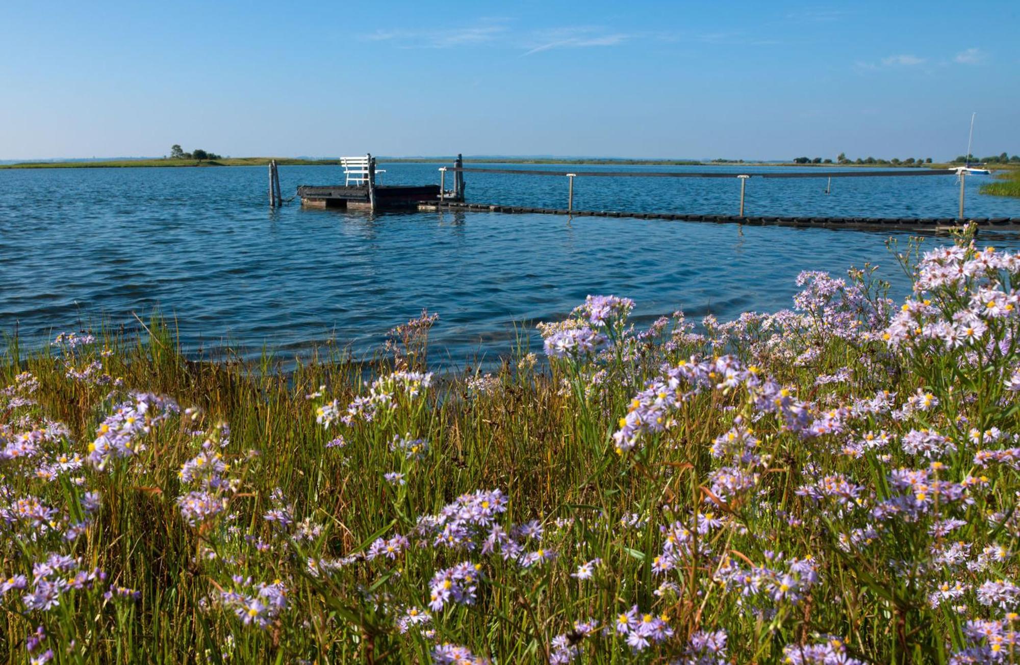 Einhusen Gute Stube Apartamento Insel Poel Exterior foto