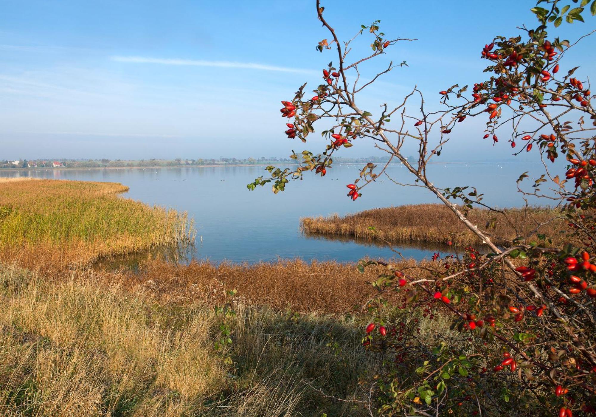 Einhusen Gute Stube Apartamento Insel Poel Exterior foto