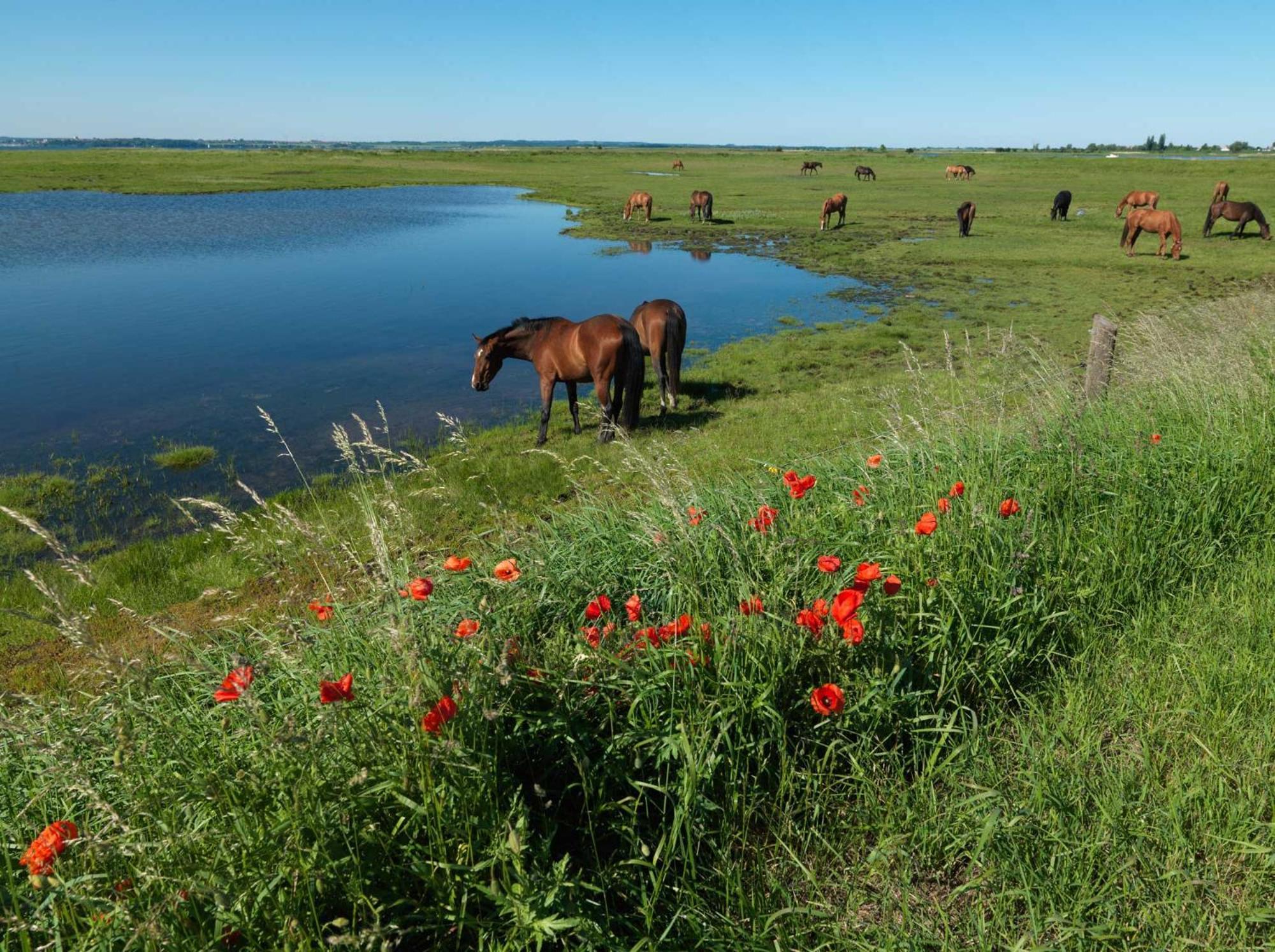 Einhusen Gute Stube Apartamento Insel Poel Exterior foto